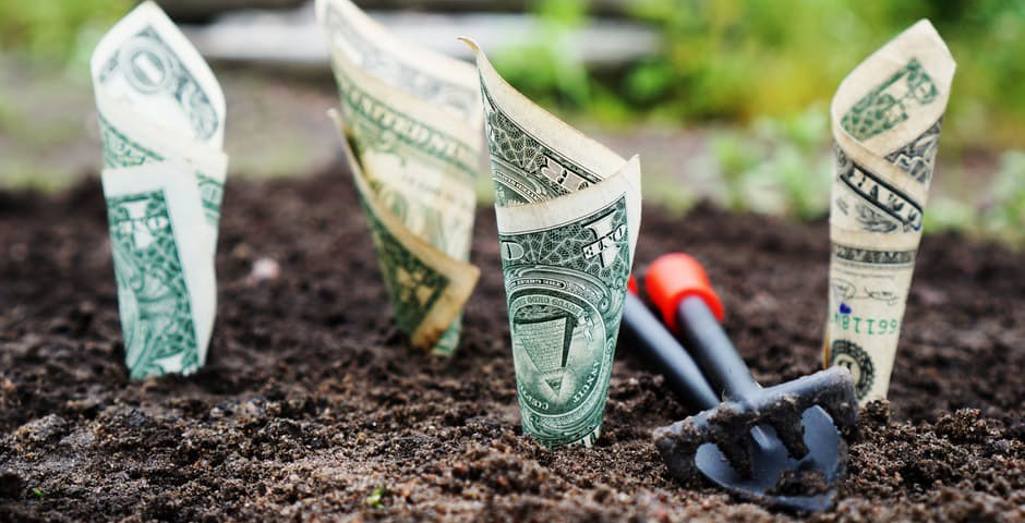 Investing in a Hedge Fund or in Real Estate?