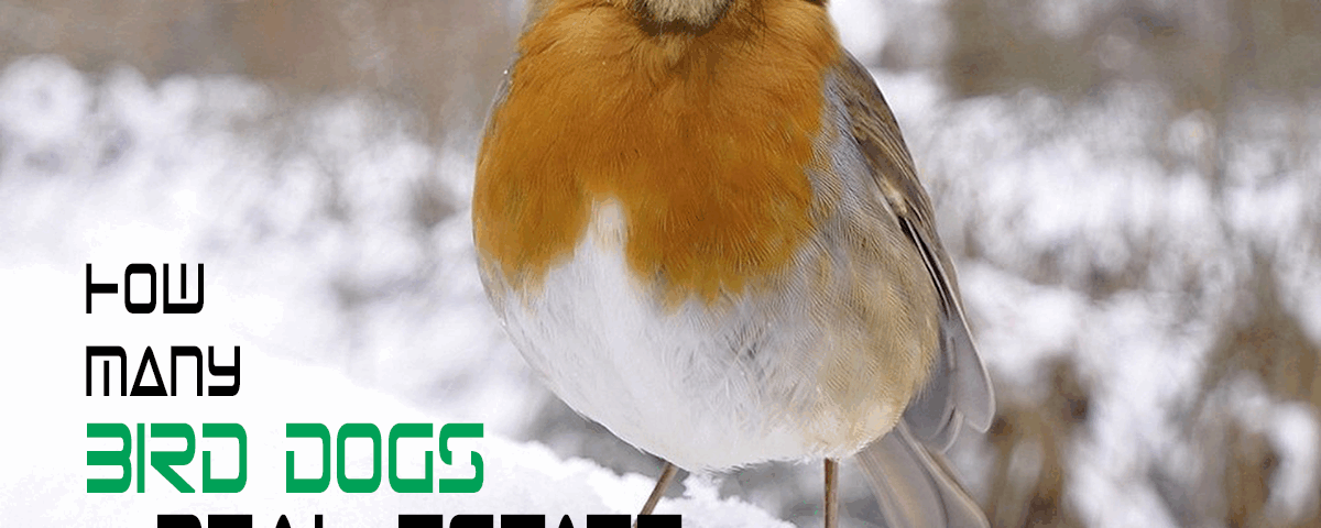 realestate_birddog